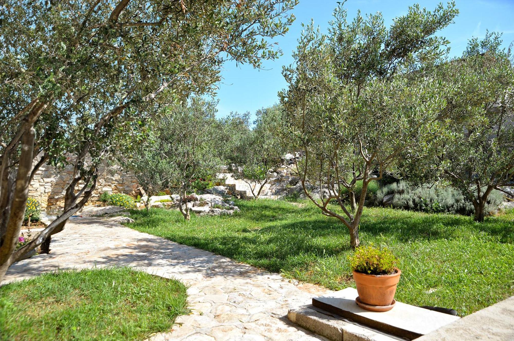 Apartments Goranka 2 Murter Dış mekan fotoğraf